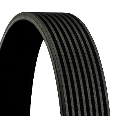 V-ribbed Belt - 8PK880