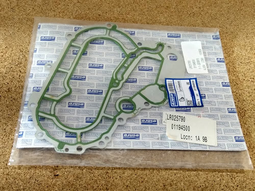 Gasket, timing case OEM