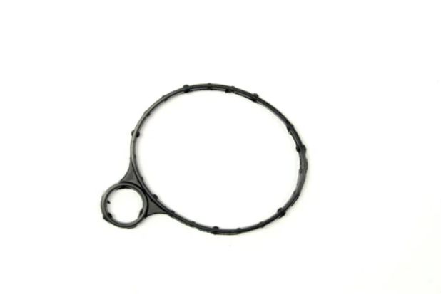LR039593 - Seal Vacuum Pump