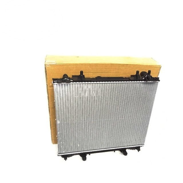 LR090625 - Radiator - Schnider