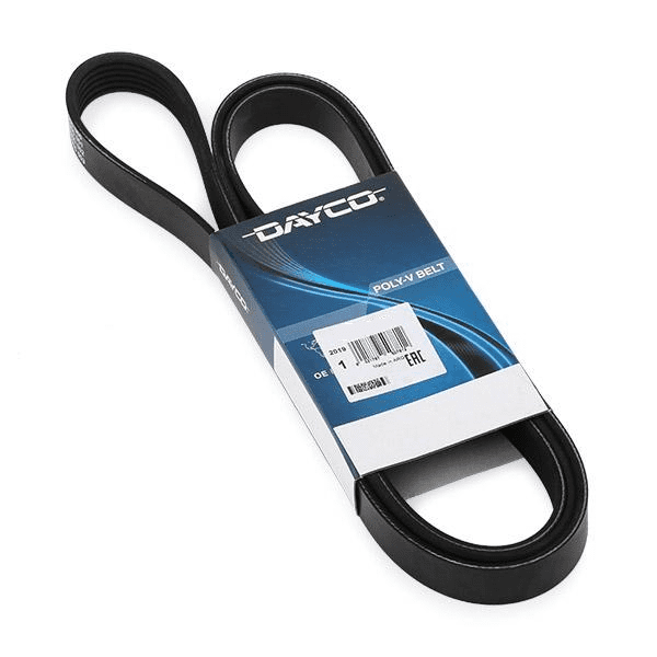 V-ribbed Belt - DAYCO