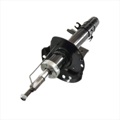 Shock Absorber - BWI