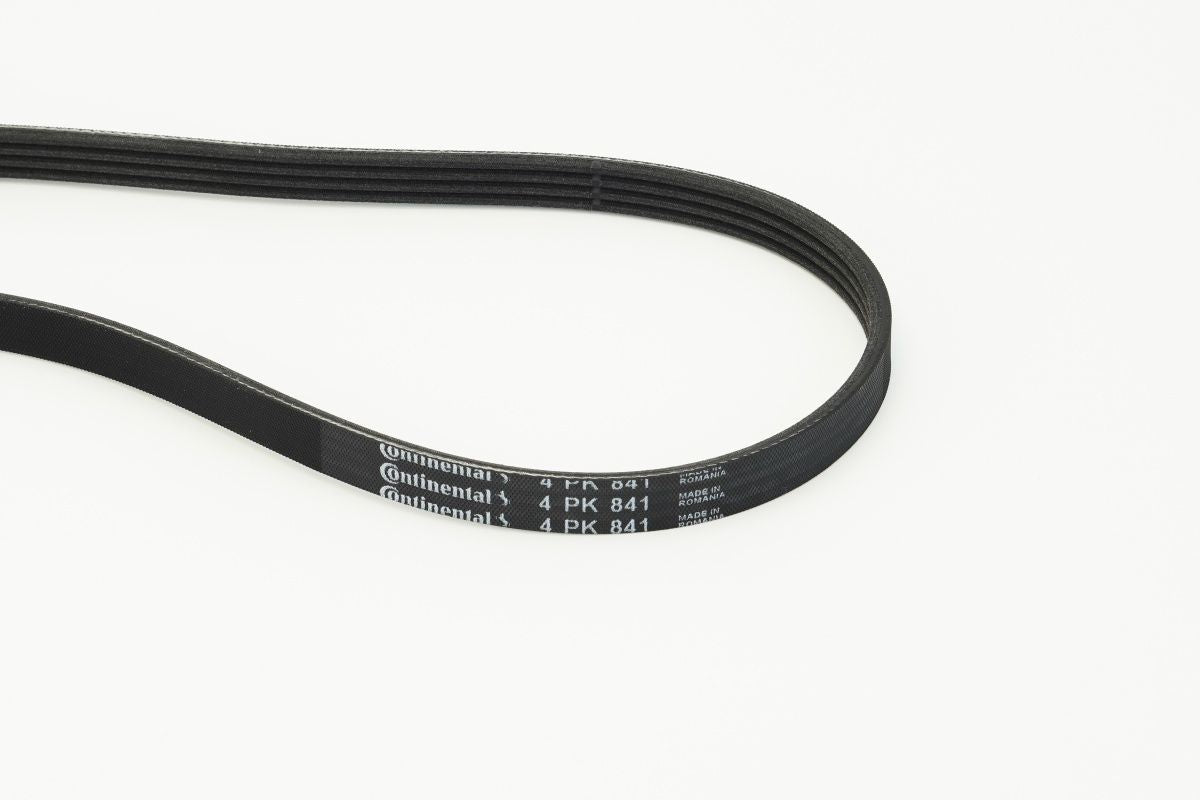 V-ribbed Belt - 4PK841