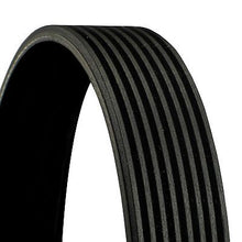 V-ribbed Belt - 8PK880