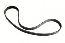 V-Ribbed Belt - BRITPART