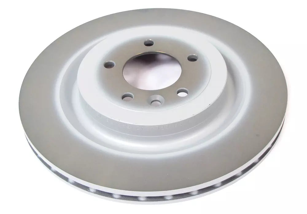 Rear Brake Disc   BEARMACH