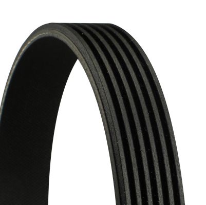 V-ribbed Belt - DAYCO