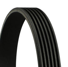 V-ribbed Belt - 6PK2080