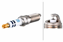 Spark Plug - LR109396 - LR123892 - LR025605 CHAMPION